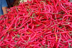 Pasokan Melimpah, Harga Cabai Merah dan Daging Unggas di Lebak Turun Rp5.000/Kg ‎