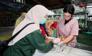 Pemkot Tangerang Kembali Buka Program Vaksinasi Rabies Gratis