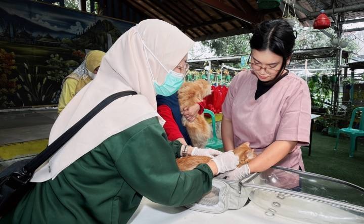 Pemkot Tangerang Kembali Buka Program Vaksinasi Rabies Gr...