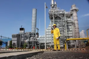 Pasokan Listrik Batam Sudah Pulih, Blackout Diduga Akibat Gangguan Hewan Liar di Gardu Induk   
