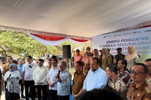 PLN Perkuat Dukungan Program KDKMP melalui Kolaborasi Layanan Kelistrikan.
