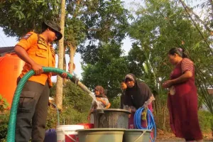 2.456 KK di Jember Terdampak Kekeringan akibat Kemarau Ekstrem