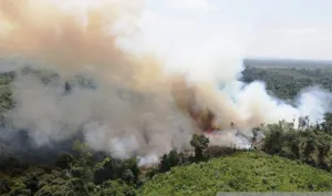 Kabut Asap Mencekam Berbulan-Bulan, Komnas HAM Incar Tanggung Jawab Kementerian Atas Karhutla Kalbar