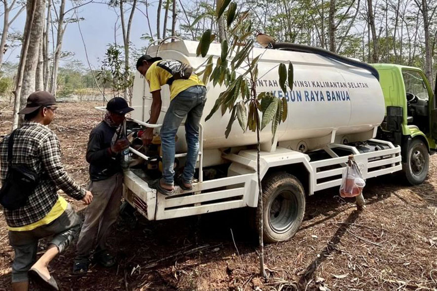 Melindungi Ribuan Tanaman Konservasi dari Karhutla