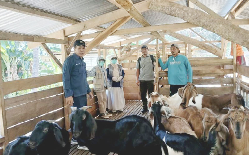 Pemkab Kolaka Salurkan Bantuan Kambing Tingkatkan Ekonomi Peternak