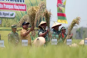 Pertahankan Status sebagai Lumbung Pangan Nasional, Pemkab Ngawi Dorong Percepatan Sertifikasi Benih Padi Unggul Lokal