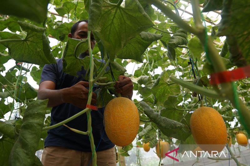 Potensi Desa Melimpah, Pemkab Bogor Dorong Lahirnya Pusat Pertumbuhan Baru