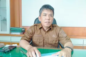 Ancaman Gagal Panen Massal, Pemkab Agam Kepung Hama Tikus Sebelum Mengganas