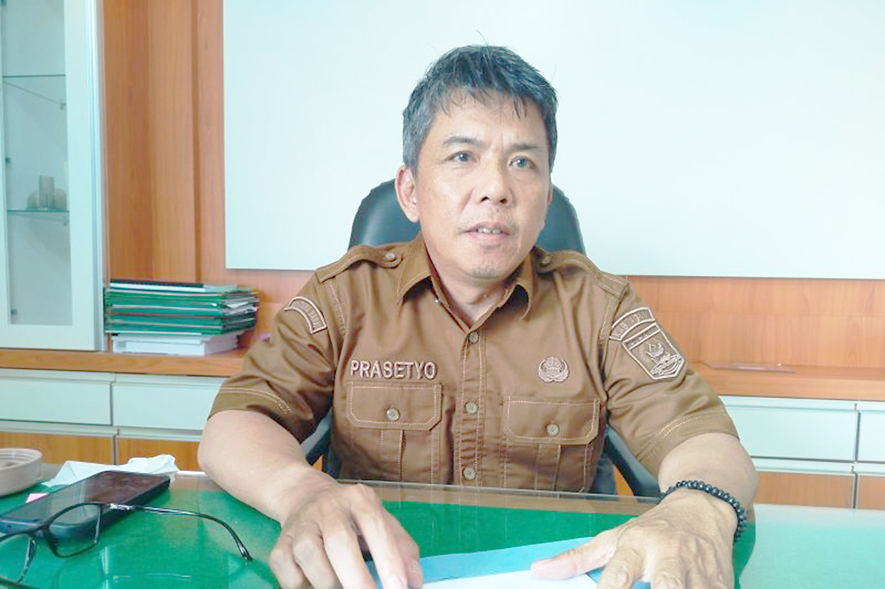 Ancaman Gagal Panen Massal, Pemkab Agam Kepung Hama Tikus Sebelum Mengganas