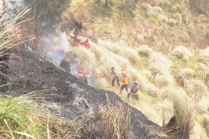 Karhutla Bromo Memakan Korban Jiwa, Tiga Pahlawan Pemadam Gugur Saat Pertaruhkan Nyawa