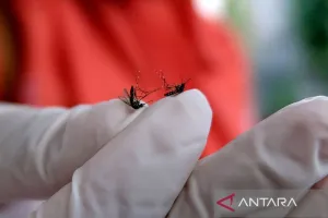 Kasus DBD Jakarta Selatan Tembus 1.314 hingga September 2026