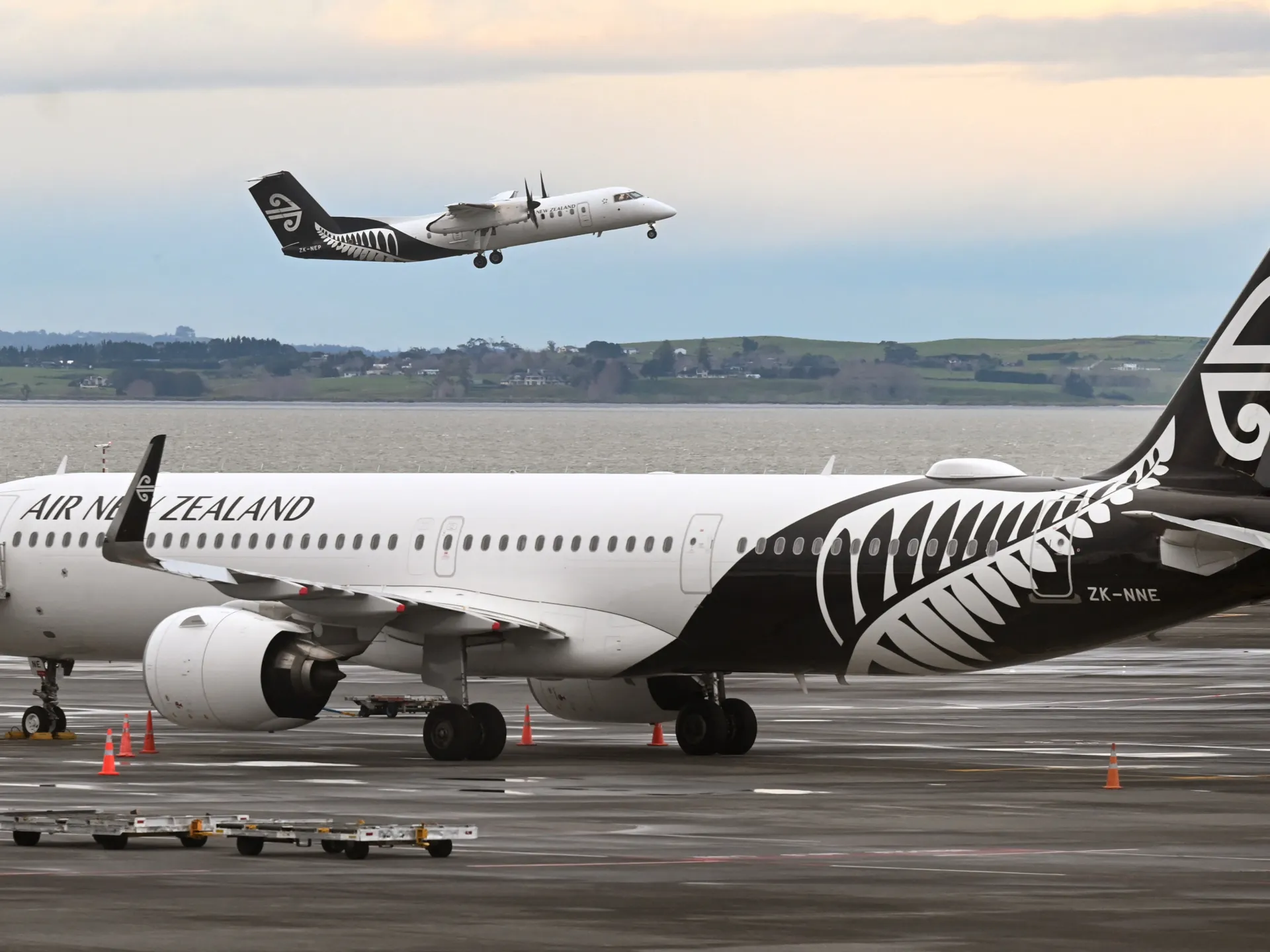 New Zealand Menggelora Lagi, Sektor Pariwisata Kembali Ba...
