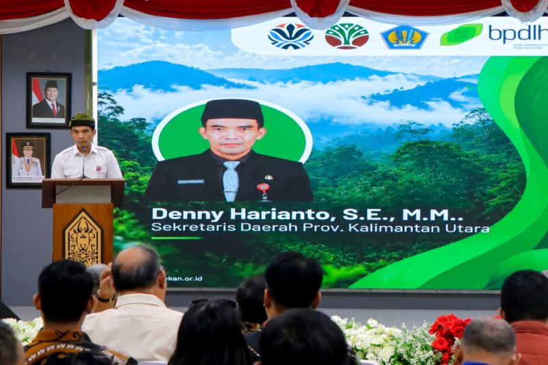 Program REDD+ Diperkuat, Ini Upaya Pemprov Kaltara Menjaga Kelestarian Hutan