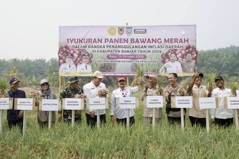 Tak Mau Bergantung pada Pasokan Luar, Kalsel Perkuat Produksi Bawang Merah