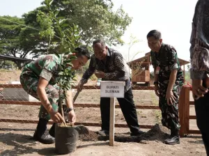 Domba dan Jeruk Jadi Andalan Ketahanan Pangan di Lahan Adisutjipto