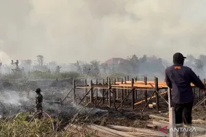 Hotspot Capai 20.334 Titik, Peringatan Serius bagi Pemerintah untuk Percepat Penanganan Karhutla