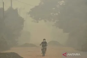 Bahaya Asap Karhutla bagi Kesehatan, Kenali Risikonya dan Cara Melindungi Diri