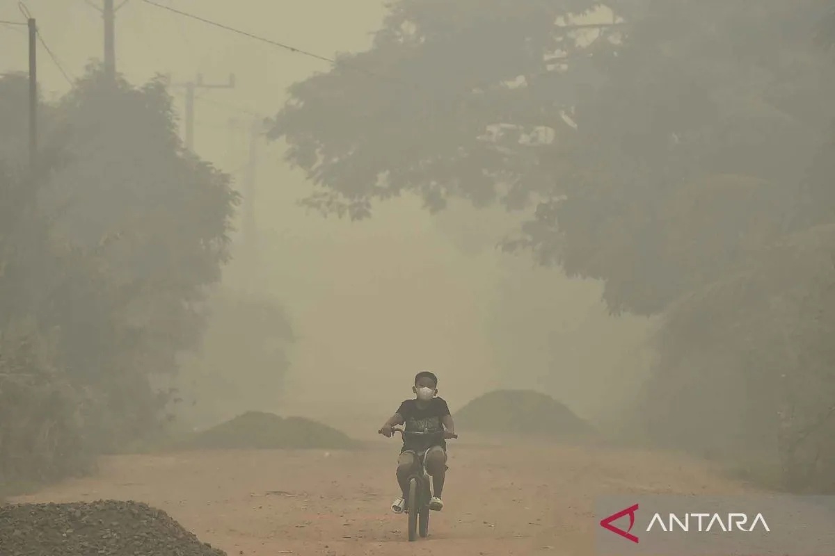 Bahaya Asap Karhutla bagi Kesehatan, Kenali Risikonya dan...