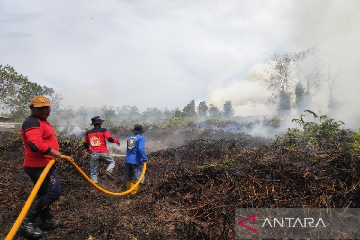 DPR Minta Pemerintah Tetapkan KLB Karhutla, Paparan Asap Sudah Parah