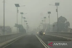 Kabar Terbaru! Pemkot Bukittinggi Perpanjang Pembelajaran Jarak Jauh hingga 21 Oktober 2026, Ini Alasannya