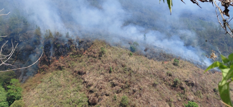 Karhutla Arjuno: Api dari Gunung Ringgit Merembet ke Arah Jendela Langit, Pendakian Ditutup