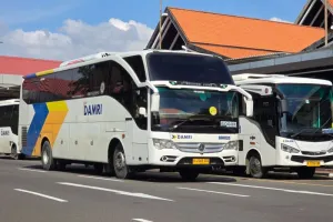 BBM Langka di Sejumlah Daerah, Layanan Operasional DAMRI Terganggu