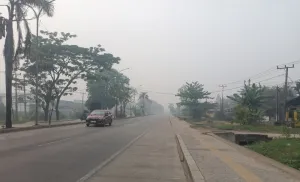 BMKG: Kualitas Udara Kota Palembang Sudah Keluar dari Zona Berbahaya