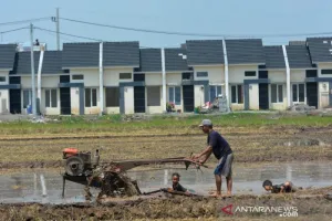 BP Tapera Perkuat Sinergi Pembiayaan Perumahan Syariah Guru Pesantren