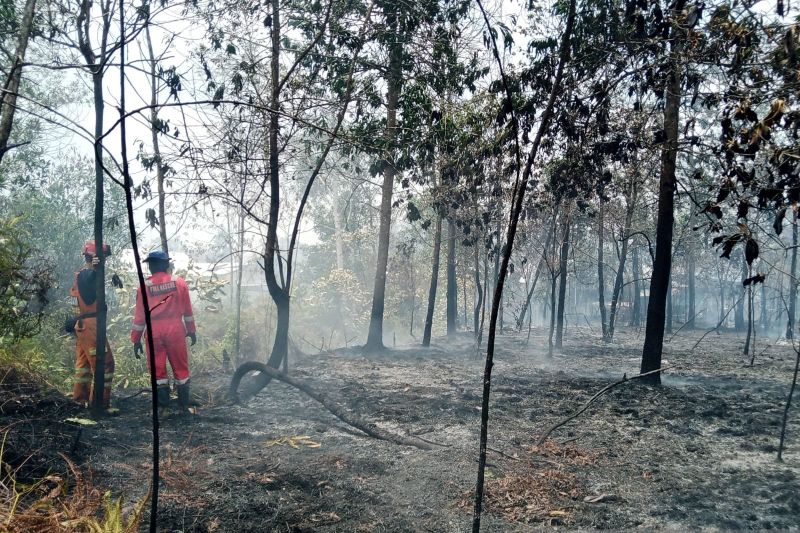BPBD: Damkar Belitung Berhasil Padamkan Kebakaran Lahan di Jalan Padat Karya 