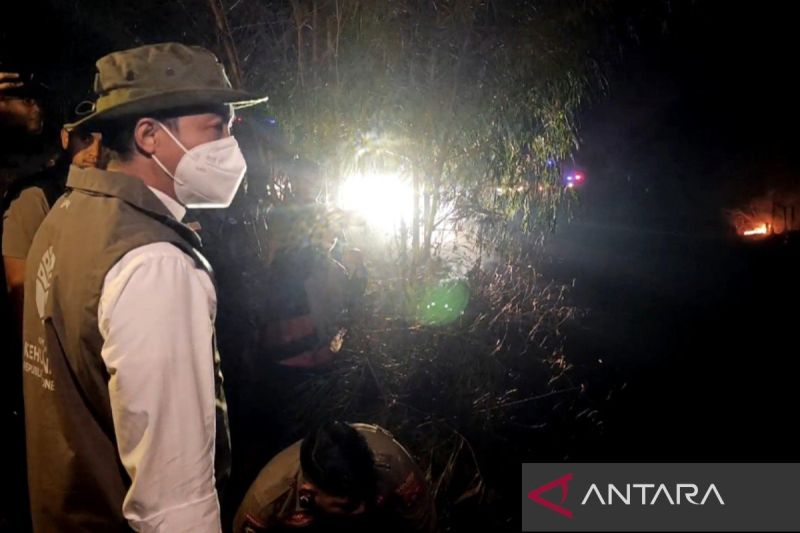 Karhutla Picu Kekhawatiran ISPA, Menhut Tegaskan Pemerintah Terus Bertindak.