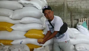 Peternak Ayam di Temanggung Merasa Tertolong dengan Bantuan Jagung SPHP 