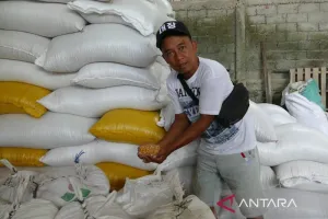 Program Jagung SPHP Jaga Ke...