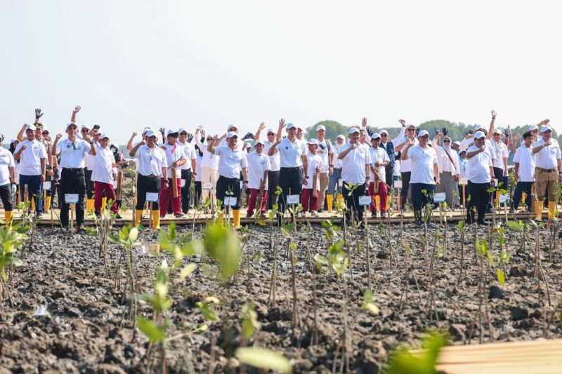 10 Tahun Dilanda Rob, Kini Warga Timbulsloko, Demak Milik...