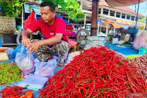 Banyak Permintaan, Harga Cabai Merah dan Rawit di Aceh Barat Naik Tajam Jadi Rp85 Ribu/Kg