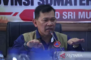 44 Area Konversi Hutan di Sumsel Terbakar, Segera Usut Tuntas! 