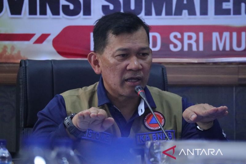 44 Area Konversi Hutan di Sumsel Terbakar, Segera Usut Tu...