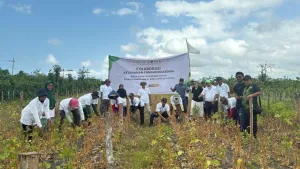 Dari Lahan hingga Meja Makan, Kolaborasi Perkuat Keberlanjutan Ekosistem Kedelai
