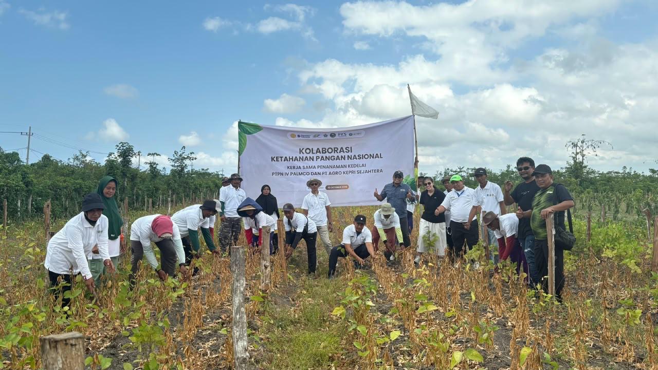 Dari Lahan hingga Meja Makan, Kolaborasi Perkuat Keberlan...