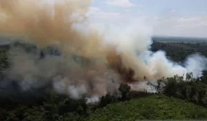 Kemenhut Jatuhkan Sanksi 32 Perusahaan terkait Karhutla di Tujuh Provinsi