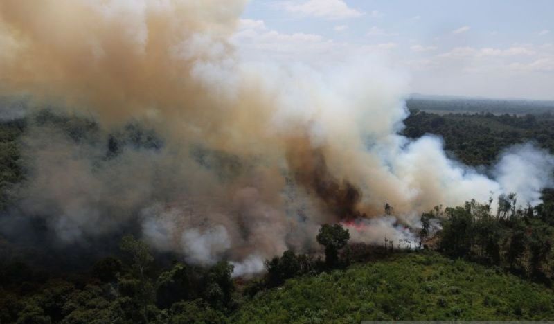 Kemenhut Jatuhkan Sanksi 32 Perusahaan terkait Karhutla d...