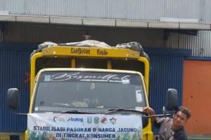 Lewat Program SPHP, Perum Bulog Kediri Salurkan 12.941 Ton Jagung 