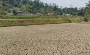 1,4 Juta Jiwa Warga Jabar Terdampak Krisis Air akibat Kekeringan