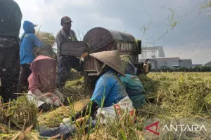Bandung Genjot Regenerasi Petani Digenjot dan Perkuat Pasar Lokal