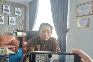 Buntut Blackout Batam-Bintan, Pemprov Kepri Berencana Bangun Pembangkit Listrik di Pulau Bintan