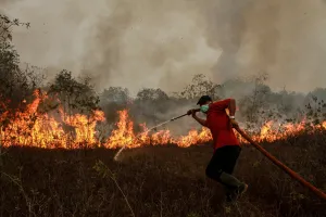 El Nino Belum Memuncak, Ancaman Karhutla Kian Membesar