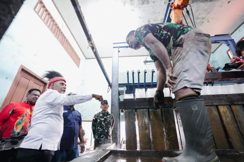 Fasilitas Pelabuhan Pendaratan Ikan Pomako Mimika Bakal Ditingkatkan, Ini Target Pemprov