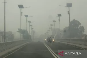 Kabut Asap Karhutla Selimuti Bukittinggi, Warga Diimbau Kurangi Aktivitas di Luar.