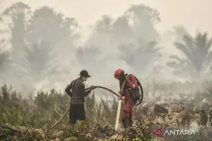 Karhutla Tak Kunjung Padam, Kemenhut: Penegakan Hukum Berjalan Seiring Penanganan Kebakaran