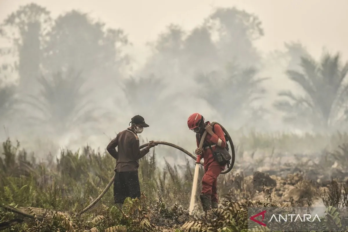 Karhutla Tak Kunjung Padam, Kemenhut: Penegakan Hukum Berjalan Seiring Penanganan Kebakaran
