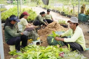 KEK Bali Tanam Investasi Hijau, Pembibitan Jadi Penopang Wisata Berkelanjutan